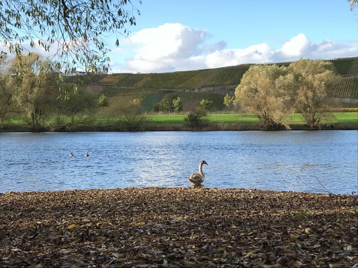 Mosel-Auszeit Brauneberg Exterior foto